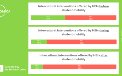 Intercultural interventions before, during and after the student mobility