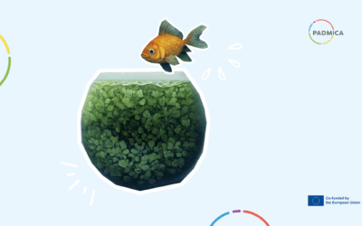 PADMICA Intercultural Preparation: in-person session materials now available